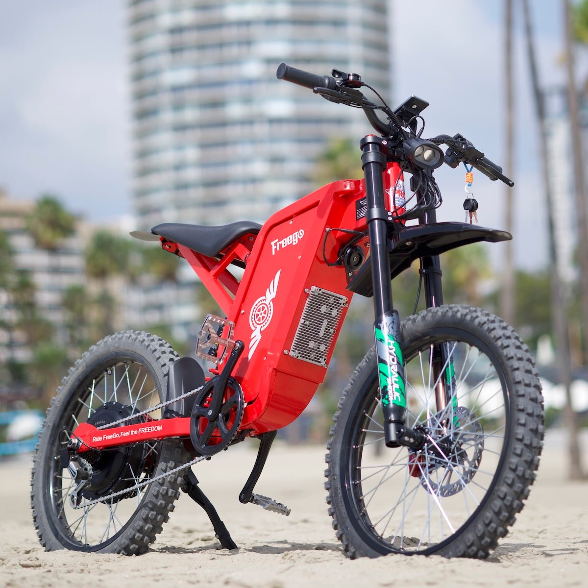 Freego X2 Pro All-Terrain Dirt eBike - Image 23