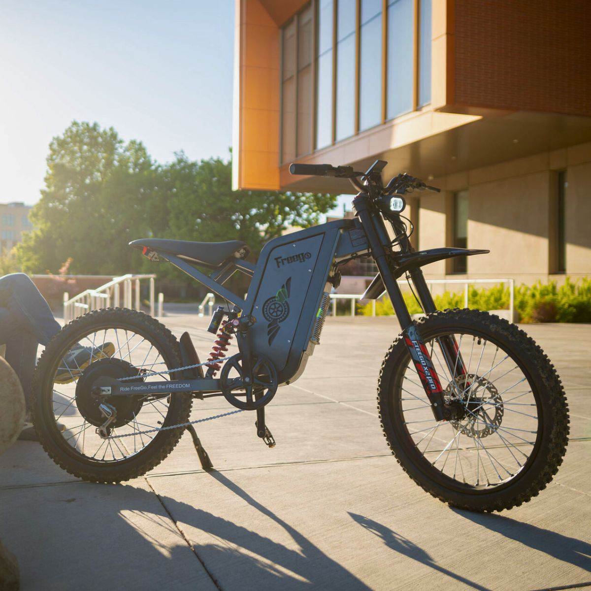 Freego X2 Pro All-Terrain Dirt eBike - Image 19